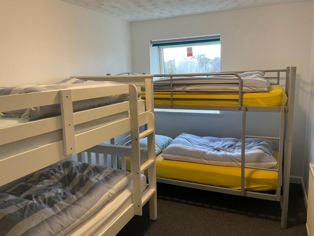 Blue Room Hostel Newquay New Quay Eksteriør bilde